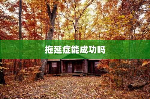 拖延症能成功吗