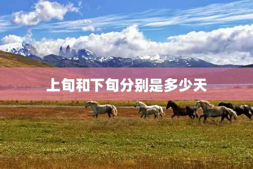上旬和下旬分别是多少天