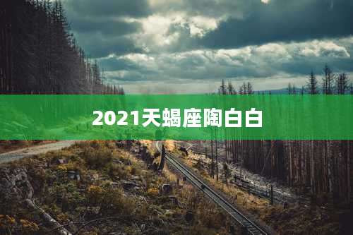 2021天蝎座陶白白