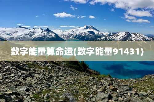 数字能量算命运(数字能量91431)