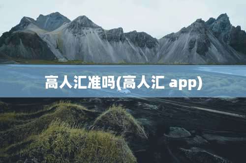 高人汇准吗(高人汇 app)