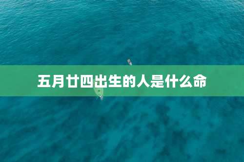 五月廿四出生的人是什么命