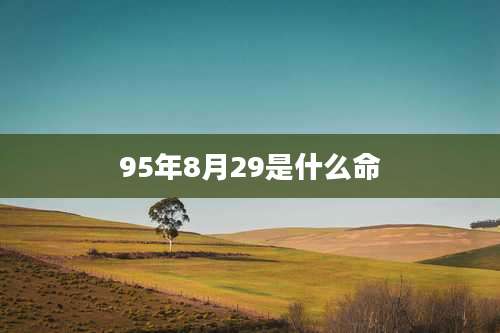 95年8月29是什么命