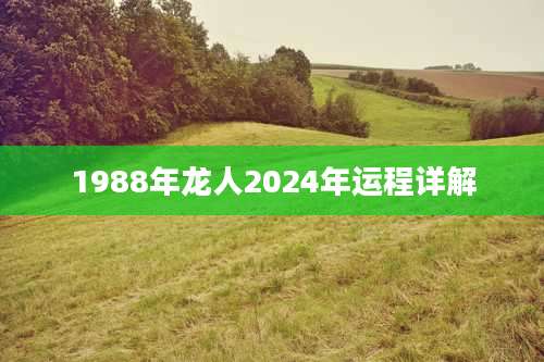 1988年龙人2024年运程详解