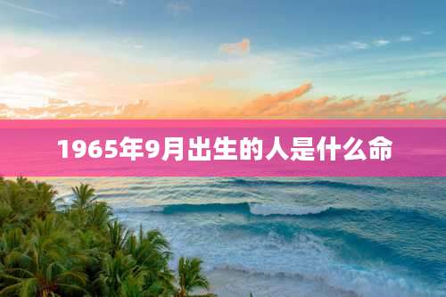 1965年9月出生的人是什么命