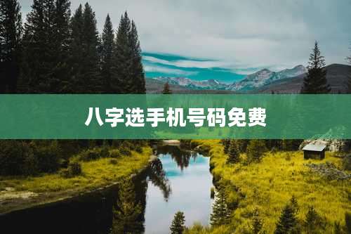 八字选手机号码免费