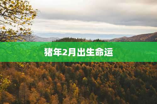 猪年2月出生命运