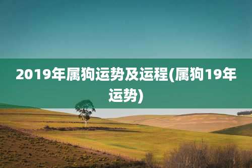 2019年属狗运势及运程(属狗19年运势)
