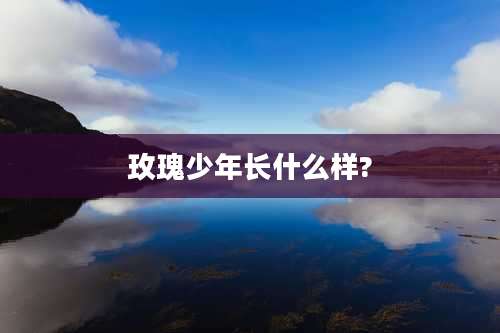 玫瑰少年长什么样?