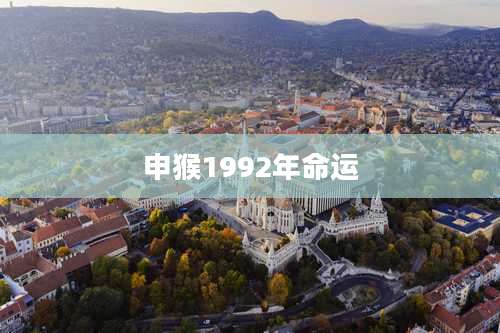 申猴1992年命运