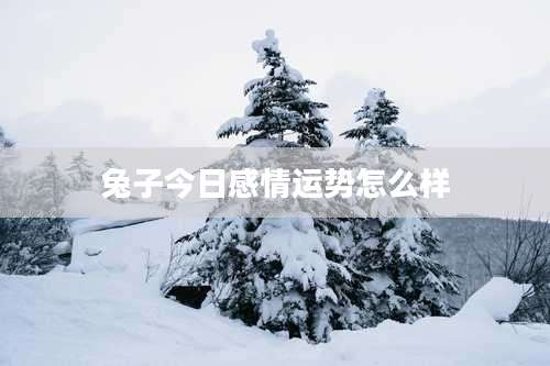 兔子今日感情运势怎么样