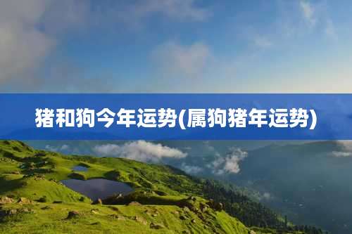 猪和狗今年运势(属狗猪年运势)