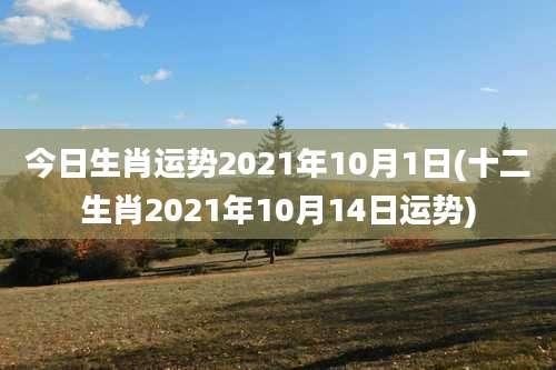 今日生肖运势2021年10月1日(十二生肖2021年10月14日运势)