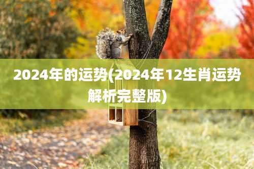 2024年的运势(2024年12生肖运势解析完整版)