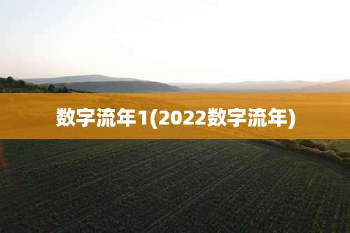 数字流年1(2022数字流年)