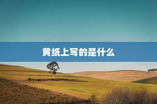 黄纸上写的是什么
