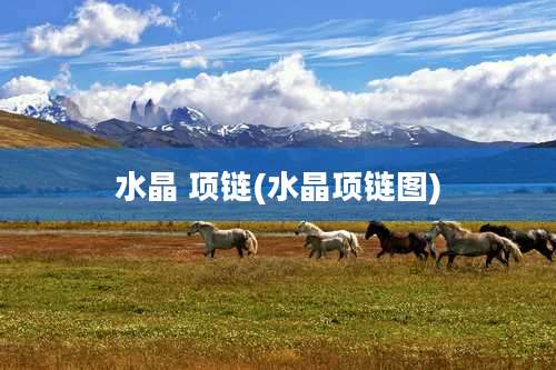 水晶 项链(水晶项链图)