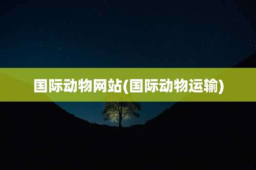国际动物网站(国际动物运输)