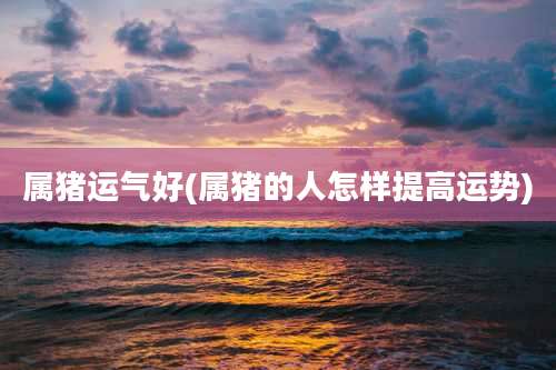 属猪运气好(属猪的人怎样提高运势)