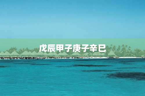 戊辰甲子庚子辛巳