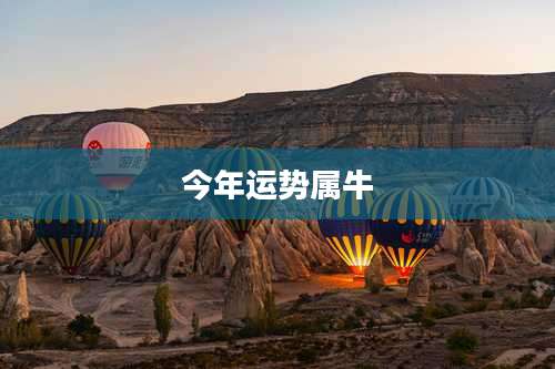 今年运势属牛
