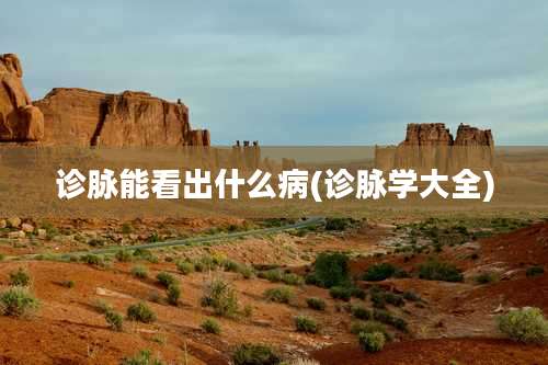 诊脉能看出什么病(诊脉学大全)