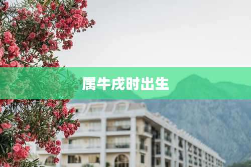 属牛戌时出生