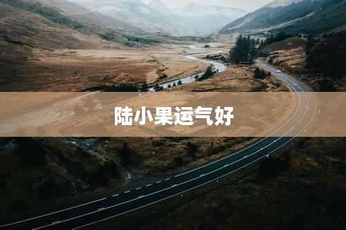 陆小果运气好