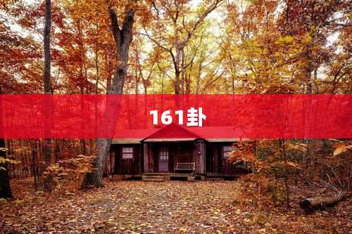 161卦