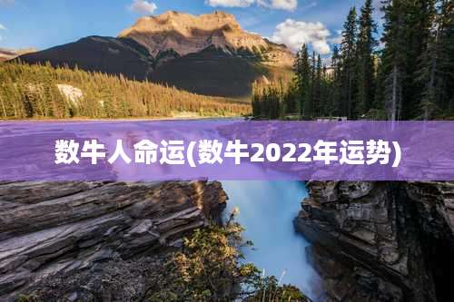 数牛人命运(数牛2022年运势)
