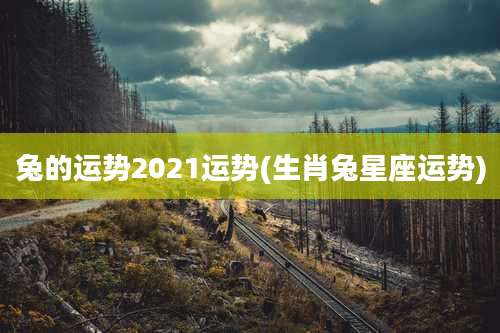 兔的运势2021运势(生肖兔星座运势)
