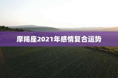 摩羯座2021年感情复合运势