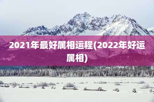 2021年最好属相运程(2022年好运属相)