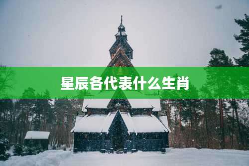 星辰各代表什么生肖