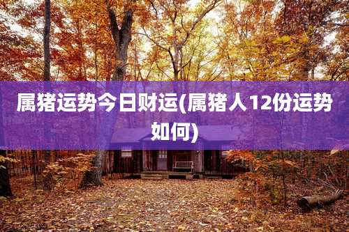 属猪运势今日财运(属猪人12份运势如何)