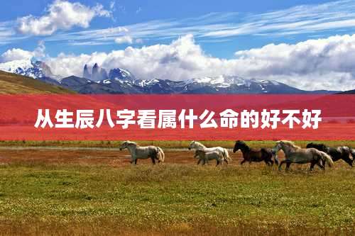 从生辰八字看属什么命的好不好