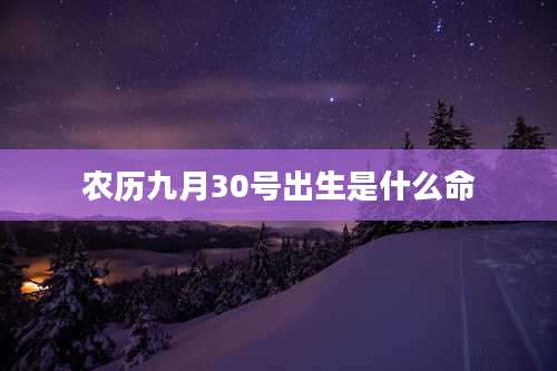 农历九月30号出生是什么命