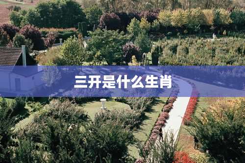 三开是什么生肖