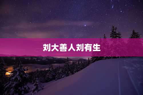 刘大善人刘有生