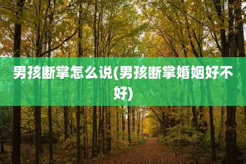 男孩断掌怎么说(男孩断掌婚姻好不好)