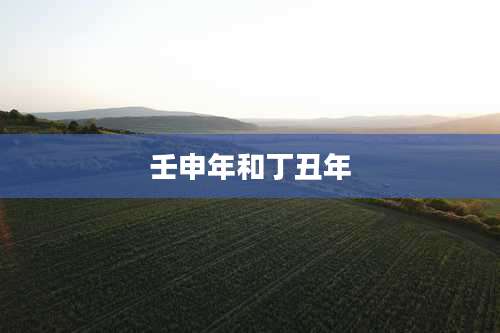 壬申年和丁丑年