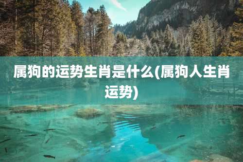 属狗的运势生肖是什么(属狗人生肖运势)