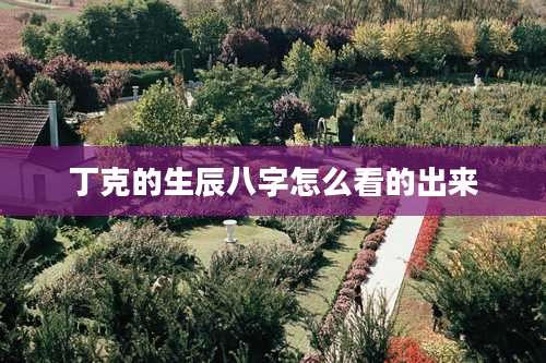 丁克的生辰八字怎么看的出来