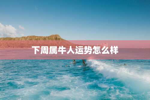 下周属牛人运势怎么样