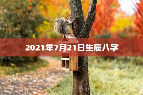2021年7月21日生辰八字
