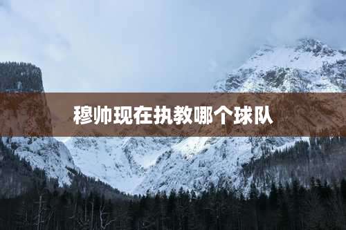 穆帅现在执教哪个球队