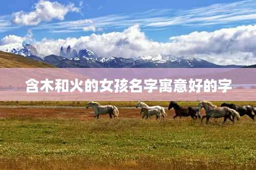 含木和火的女孩名字寓意好的字