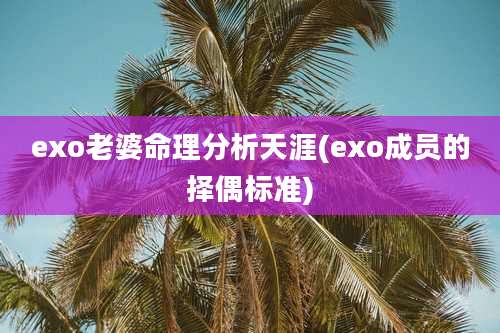 exo老婆命理分析天涯(exo成员的择偶标准)