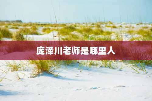 庞泽川老师是哪里人