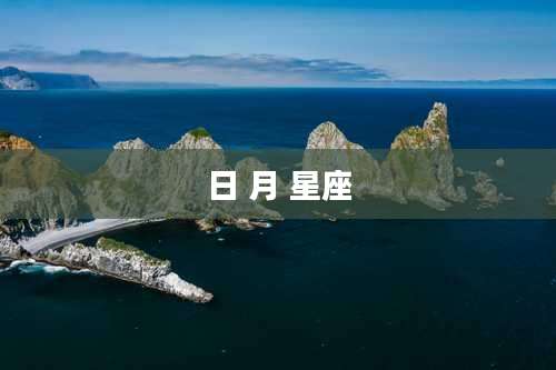 日 月 星座
